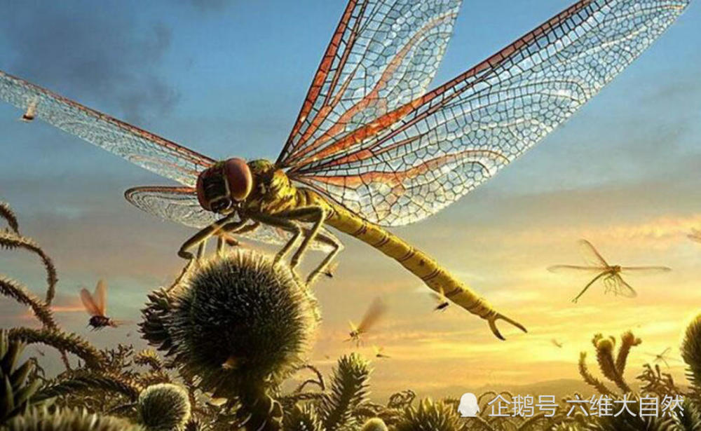 大到能叼起人的史前巨脉蜻蜓,可惜成是氧气含量灭绝也是氧气含量
