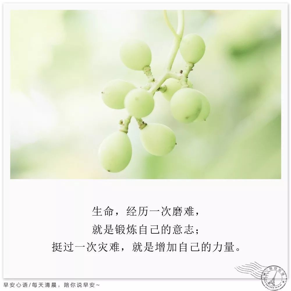 早安心语励志正能量图片分享