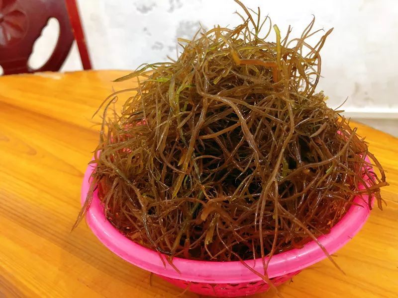 一点儿也不饿#五天四夜,琼得瑟