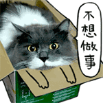 笑话段子:我妈的绝技,三碗米煮两碗饭