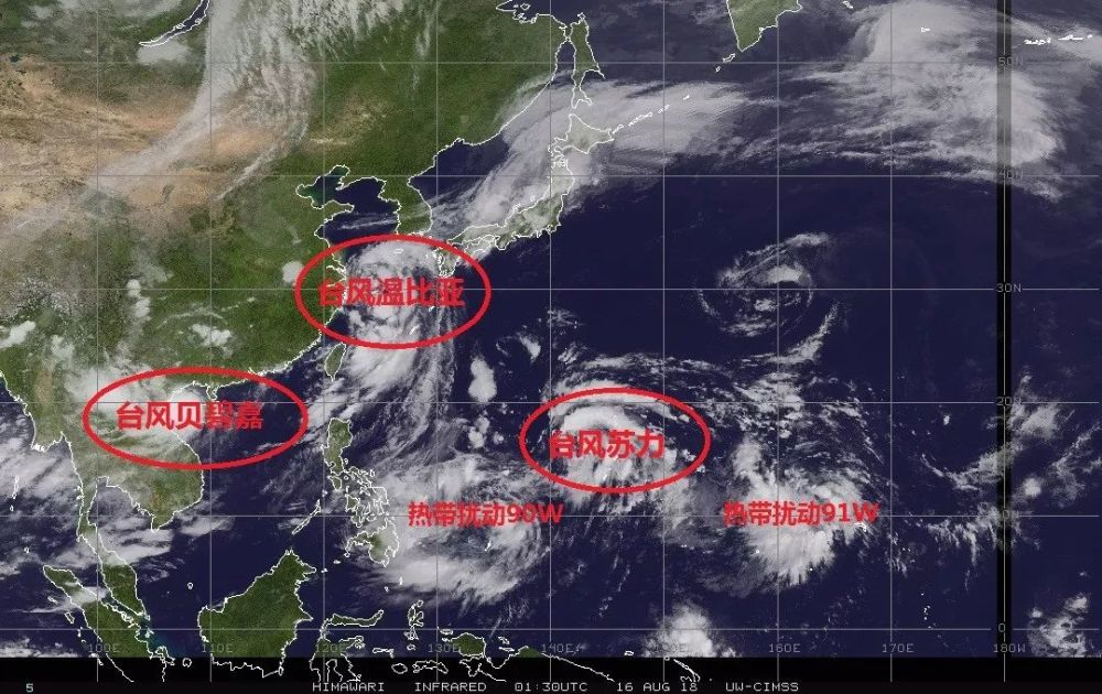 台风"贝碧嘉"也结束回旋状态 开始稳定西行 (16日台风及台风胚胎分布