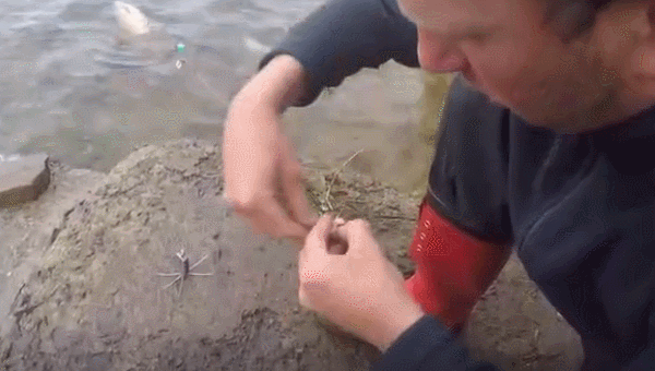 钓鱼人的选择;然而也有不少简单的鱼饵,也是鱼儿喜欢吃的,就看你有没