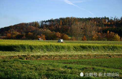 盘点:土地流转5大骗局,了解其套路,避免上当受