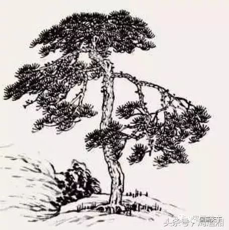 中国画松树的画法