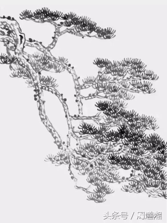 中国画松树的画法