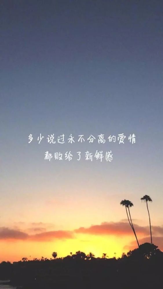 37张文字壁纸:及时放手是太重要的事,一味死缠烂打容易走火入魔