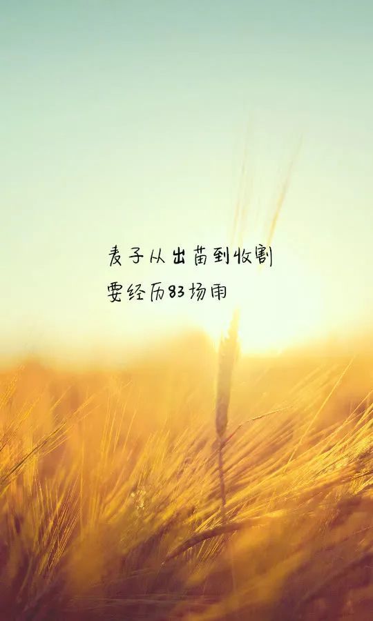 周末早安励志心语图片:越是艰难的时刻,越要自己撑自己
