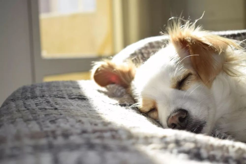 天气是怎么影响你的睡眠的?