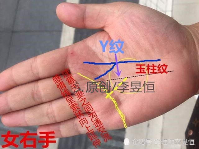 手相中玉柱纹出现这3个分支,事业财运会更近一层!