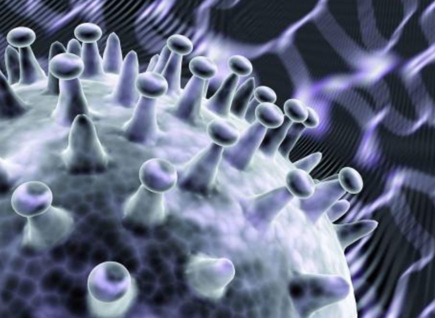 人死了,癌细胞也会死吗?来看看专家是怎么说的