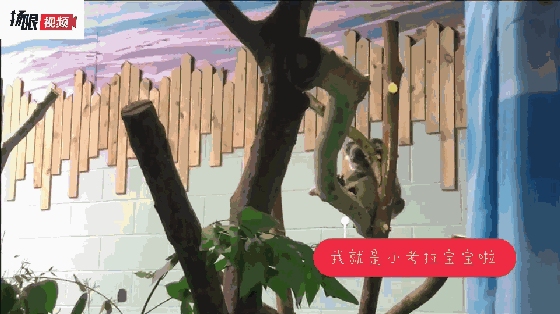新一代