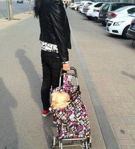 搞笑GIF图:二货朋友改装的面包车,说要开着去