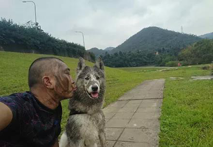哈士奇玩的太脏,主人和狗子弄了一样造型,女主