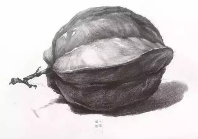 速度收藏,单个物体基础素描