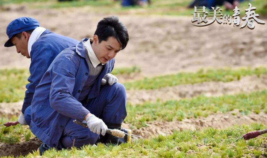 观众直接打电话给央视催更,电视剧《最美的青春》,到底哪里好?