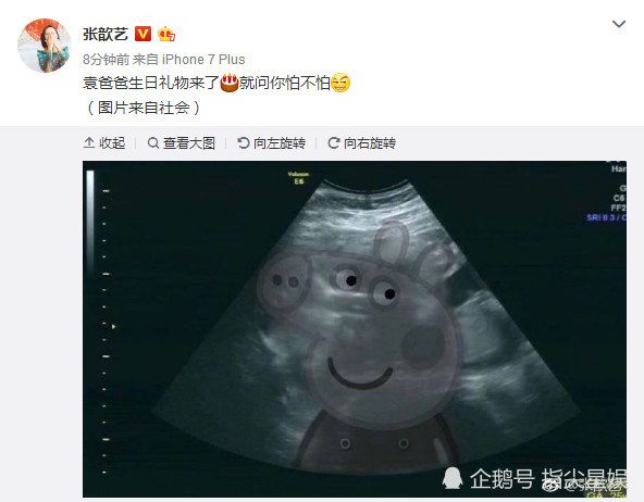 张歆艺宣布怀孕胡歌微博沦陷，网友：袁弘当爹了，你看着办吧