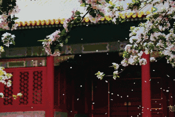 剧焦  《如懿传》, battle演技的高段位玩家