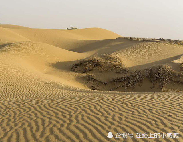 中国为把沙漠变绿洲,建设逆天工程治理沙漠,却