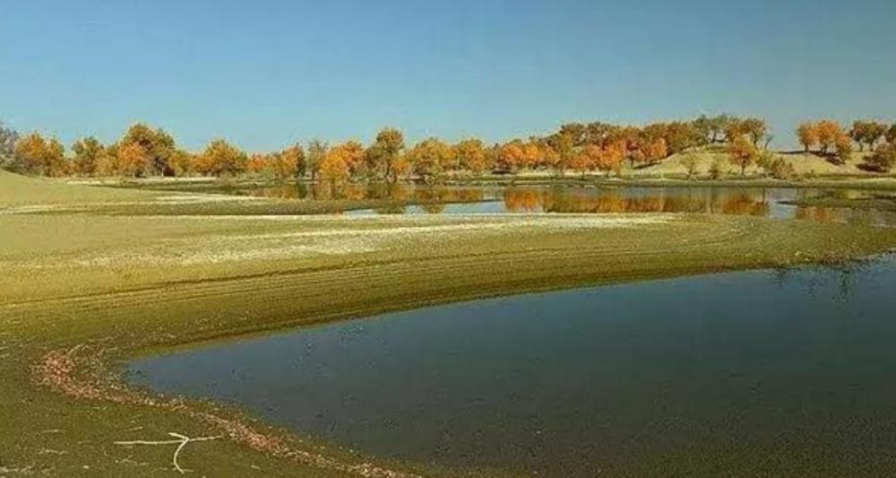 再创奇迹:中国沙漠面积减少了多少?你会难以相