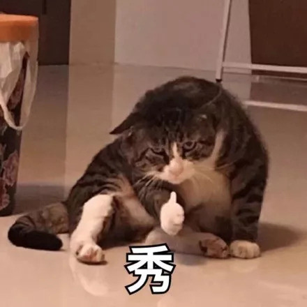 沙雕群组头像:猫咪竖大拇指,跟你的朋友们换头像吧