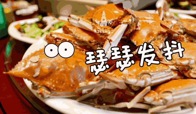台风过后舟山海鲜强势回归!带膏梭子蟹热卖,目前这个价格
