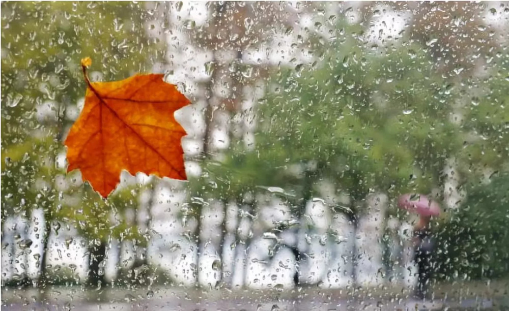 秋天的颜色教案_秋天 教案_秋天的雨教案范文