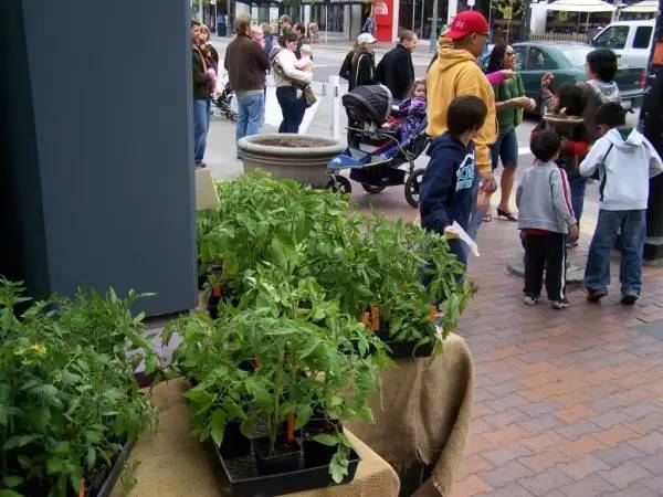 美国西部穷山沟的住宅生活,震惊到让人想哭_-