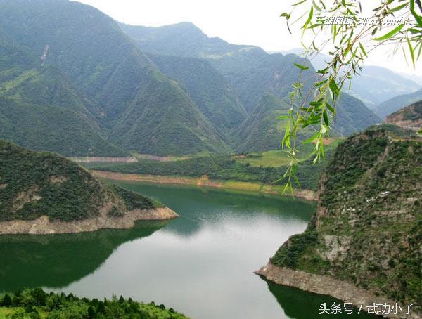 三清纯味猕猴桃:我已纯味初成,何时带我回家?