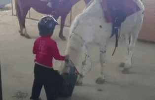 熊孩子上马的方式真是看呆了