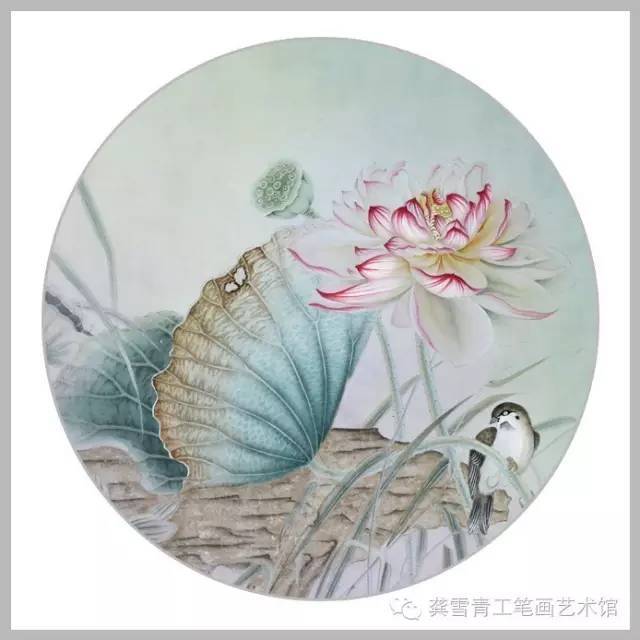 不染红尘不染心,独出淤泥香自飘——杨冬冬工笔荷花分享