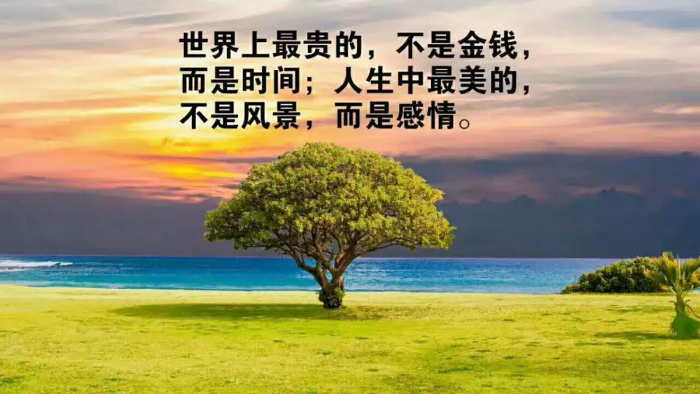 每个人的生活都是一样的,什么样的心态,决定了你拥有什么样的人生境界