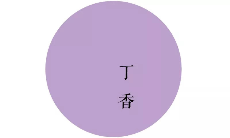 丁香色课代表:富察·容音