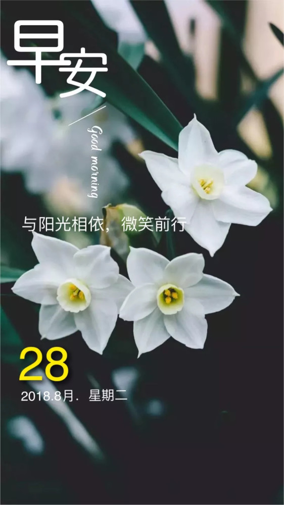 周二早安!心中有太阳,处处是阳光