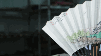 扬州扇王朱国勇的