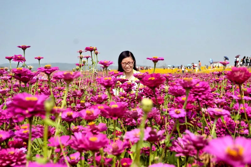 凭什么新晋4a级景区——这些年 我们游过的枫林花海