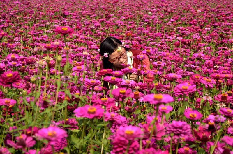 凭什么新晋4a级景区——这些年 我们游过的枫林花海