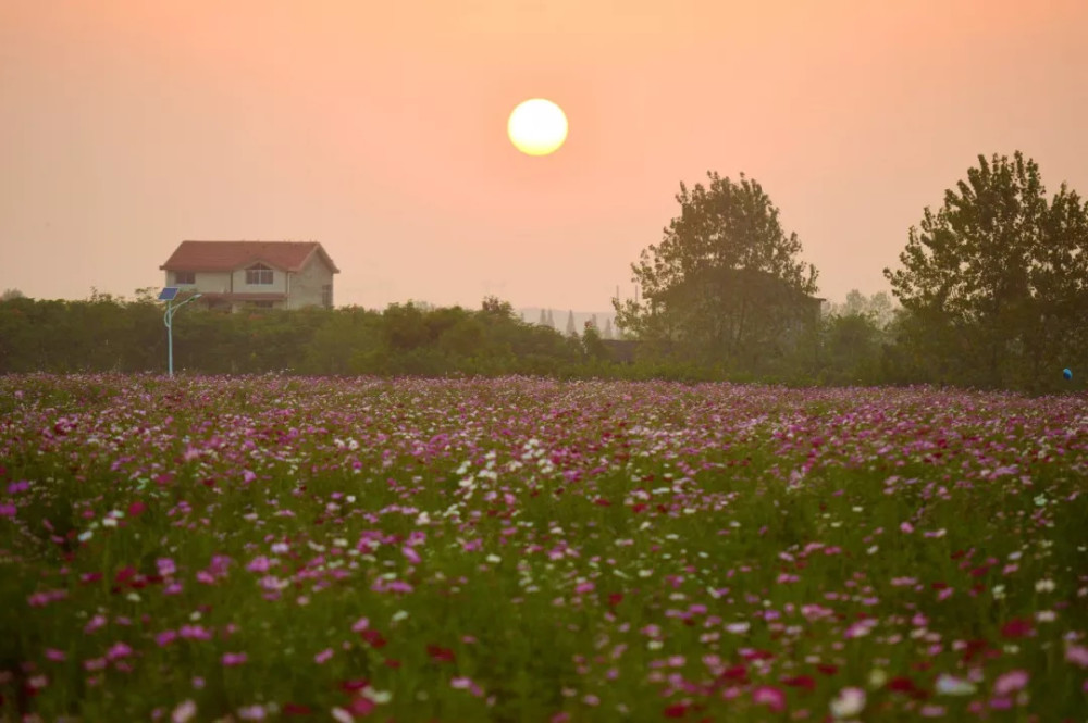 凭什么新晋4a级景区——这些年 我们游过的枫林花海