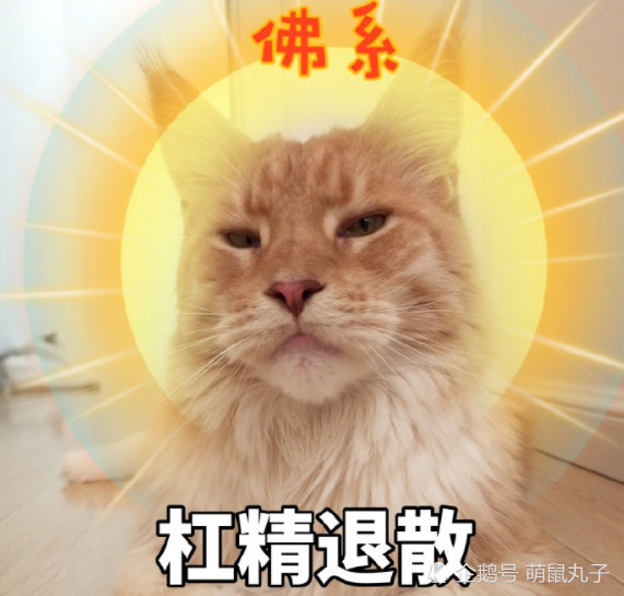 佛系吸猫:一组清心消火表情包,看完浑身都舒畅了