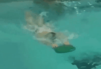 一组不错的蝶泳分解训练动图