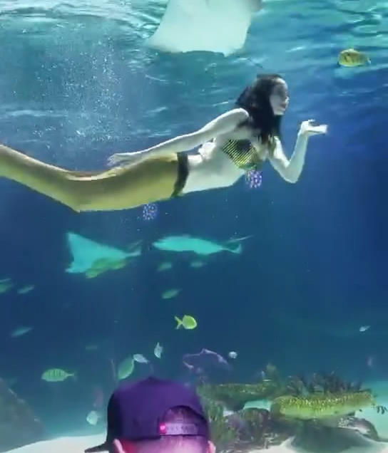 抖音水族馆美人鱼小姐姐深水比心,网友:太深遂了我不敢看!