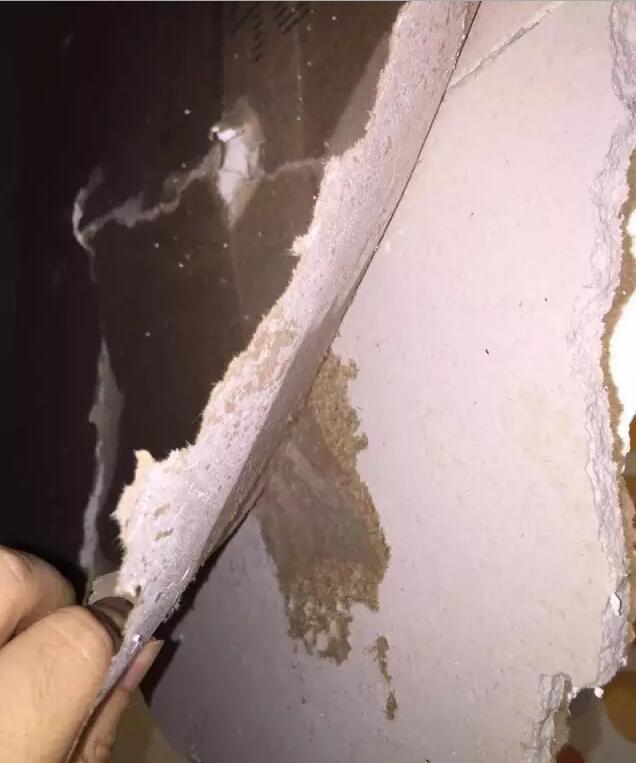 男子入住连锁酒店 房顶突然塌了_学生时代网触