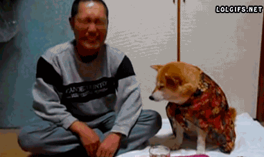 内涵段子gif:真能感应到,不信让我摸摸