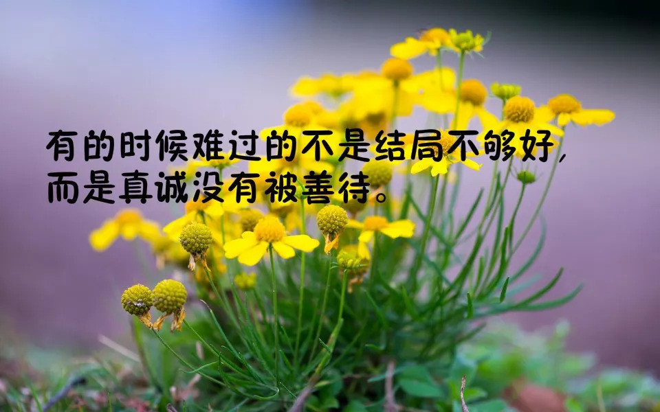18早安正能量精辟语句 送给正在努力打拼的你 看点快报