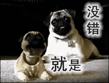 汪星人搞笑动图表情包第二弹