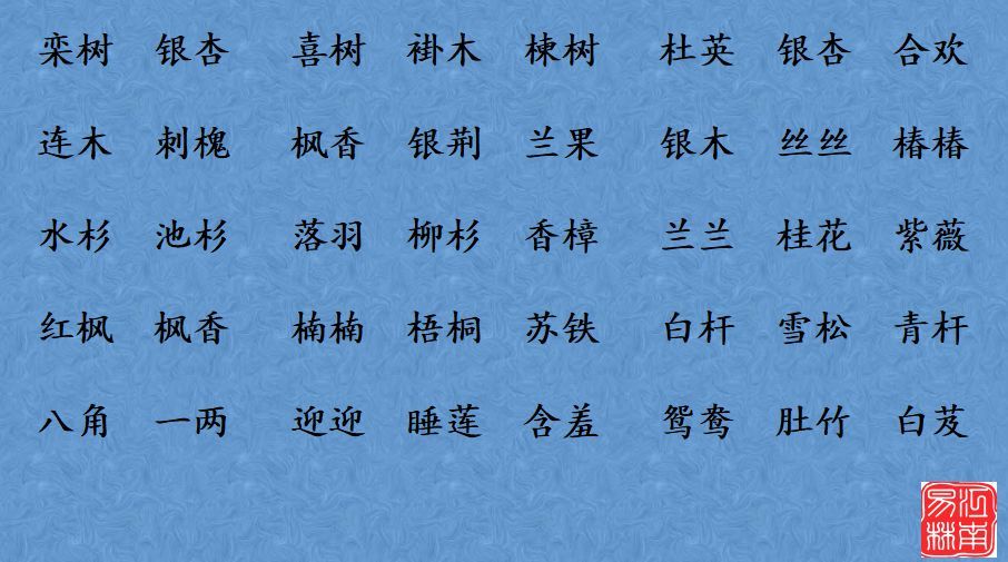 100个宝宝小名大全,好听不俗气,暖心一辈子,值得收藏!