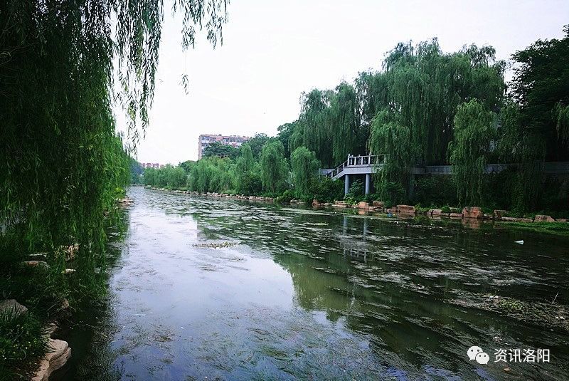 洛阳瀍河区最新规划已出台!改造棚户区优化居住环境已