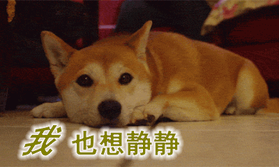 汪宠的搞笑动图文字表情包第三集来了