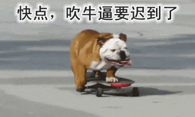 汪宠的搞笑动图文字表情包第三集来了