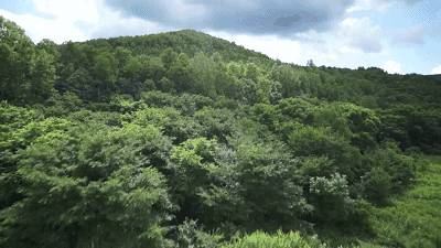 春日昆明的森系小清新