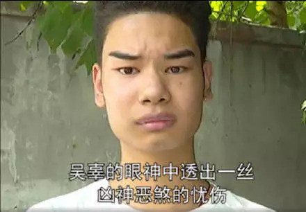 不止华农兄弟、修眉小吴,本月最精华的表情包